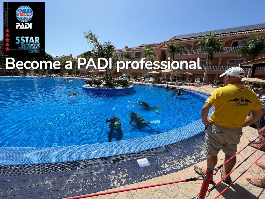 Corsi IDC Tenerife, Padi instructor Tenerife, Divemaster Tenerife, Assistant instructor Tenerife, PADI course Tenerife, Scuba diving Tenerife.