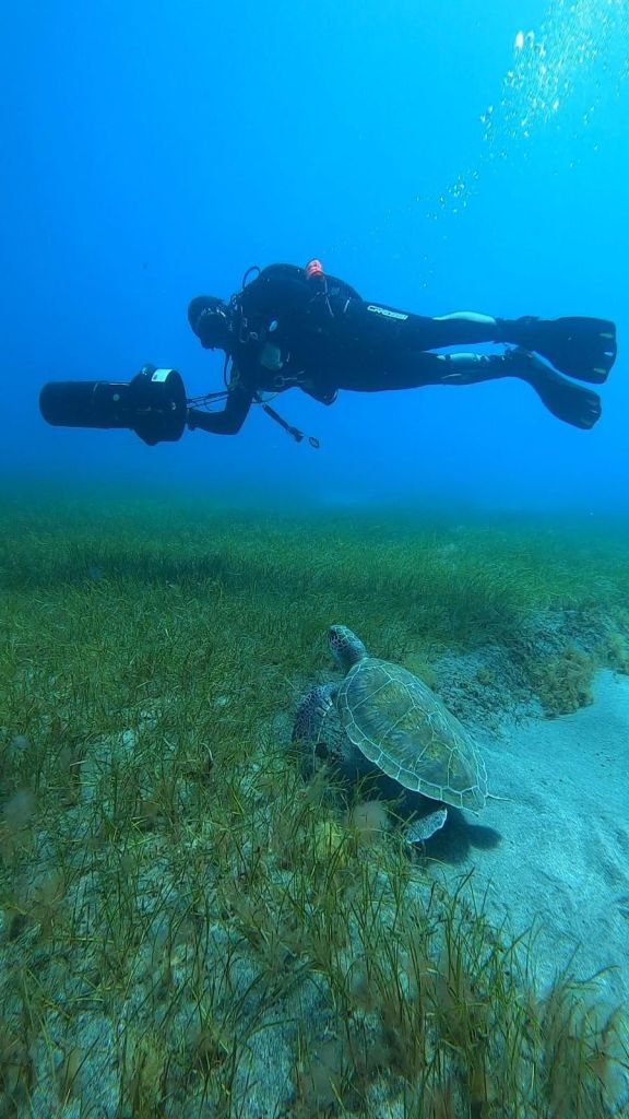 Idc Tenerife Instructor PADI Course